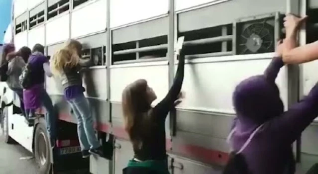 Super Alba ...Te Satisfarã