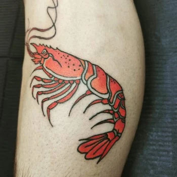 Oveja Negra Tattoo Studio