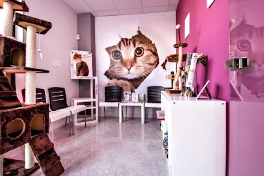 Hospital Veterinario 12 horas - KISSA -