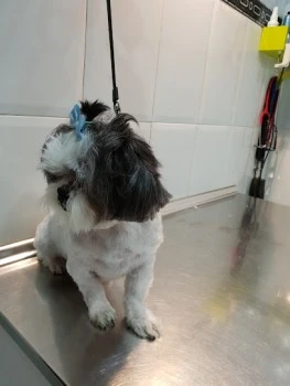 Alhama Veterinario