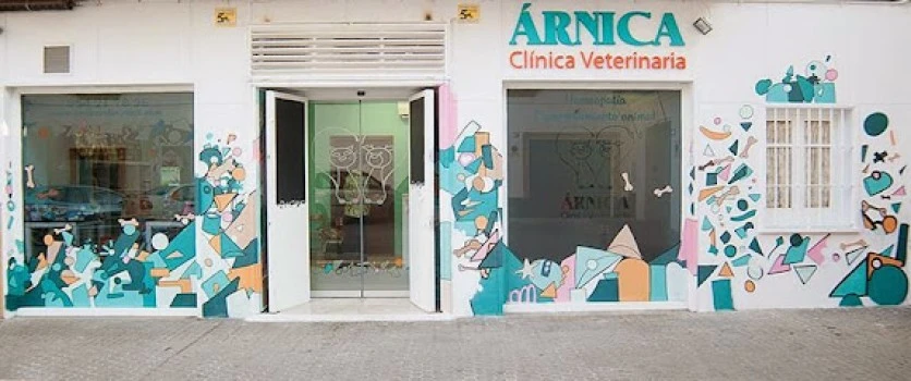Clínica veterinaria Árnica. Tu veterinario en el centro de Sevilla