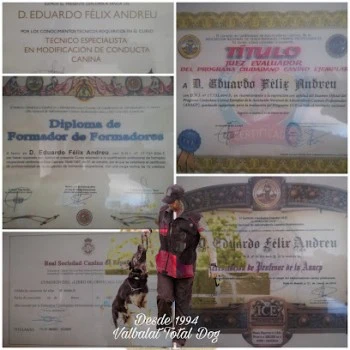 VALBALAT Equipo de IGP- SchutzHund Los Llanos. Adiestramiento canino deportivo