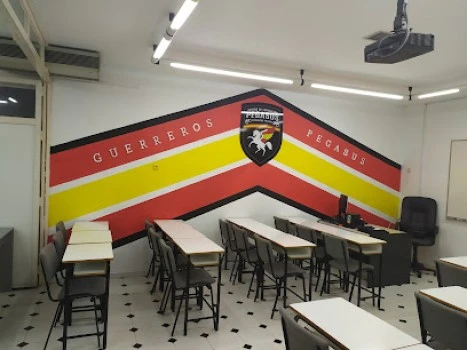 Academia Pegasus Formación