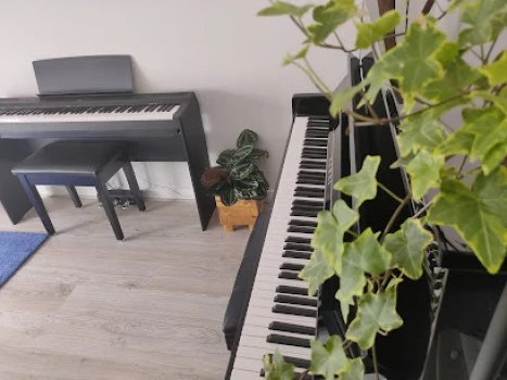 Escuela de música Creative Soul