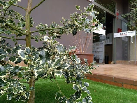 ESDAC-ESNE Asturias