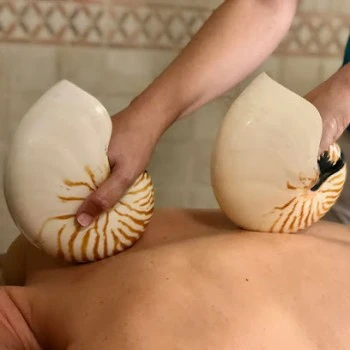Academia holistica prisma