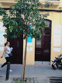 Clases Particulares Asesorías de Estudios