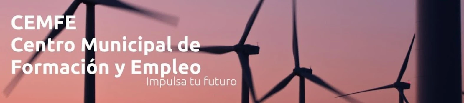 CEMFE Formación