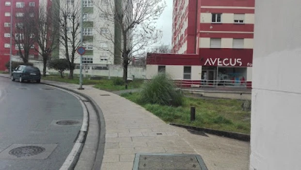 Avecus Formación