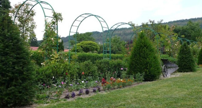 CI Agroforestal