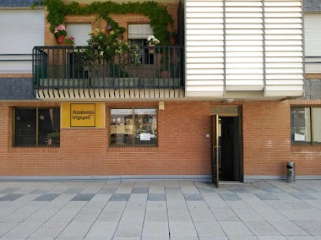 Academia Irigoyen 3.0