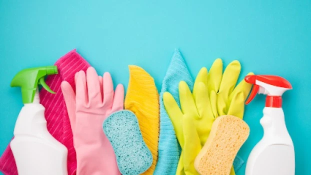 Any Limpiezas - Desinfección y Limpieza Domestica en Vitoria Gasteiz