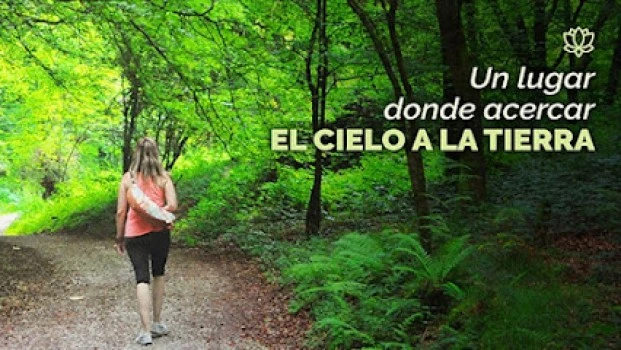 Centro de Yoga " El bosque de Silvia"