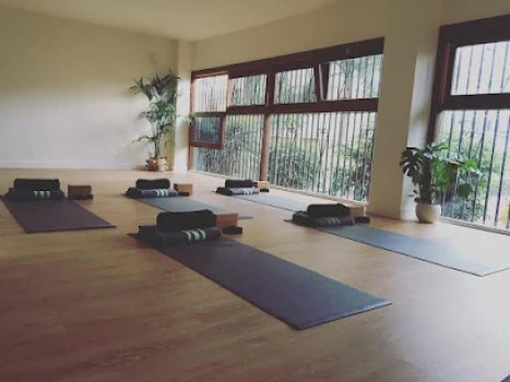 El Árbol Centro de Yoga Las Palmas