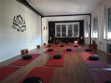 Centro de Yoga Satyananda