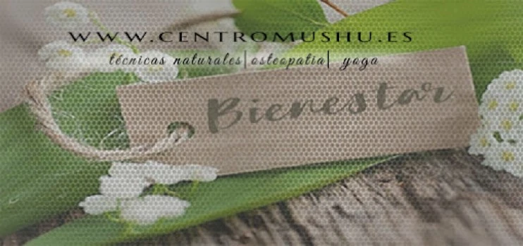 Centro Mushu