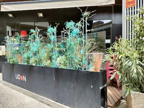 UDON Zaragoza